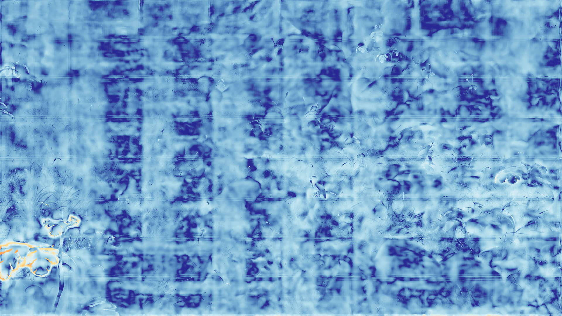 grayscale visualization of optical flow error