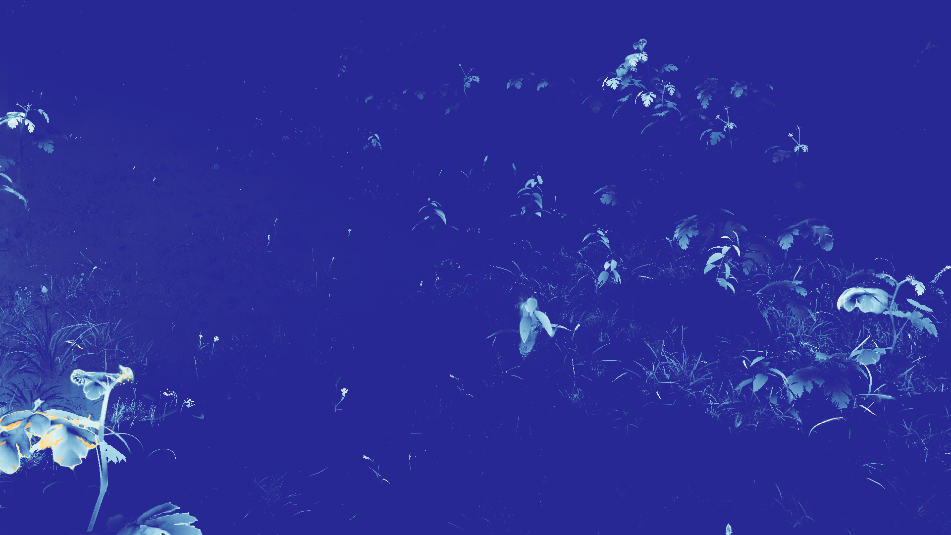 grayscale visualization of optical flow error