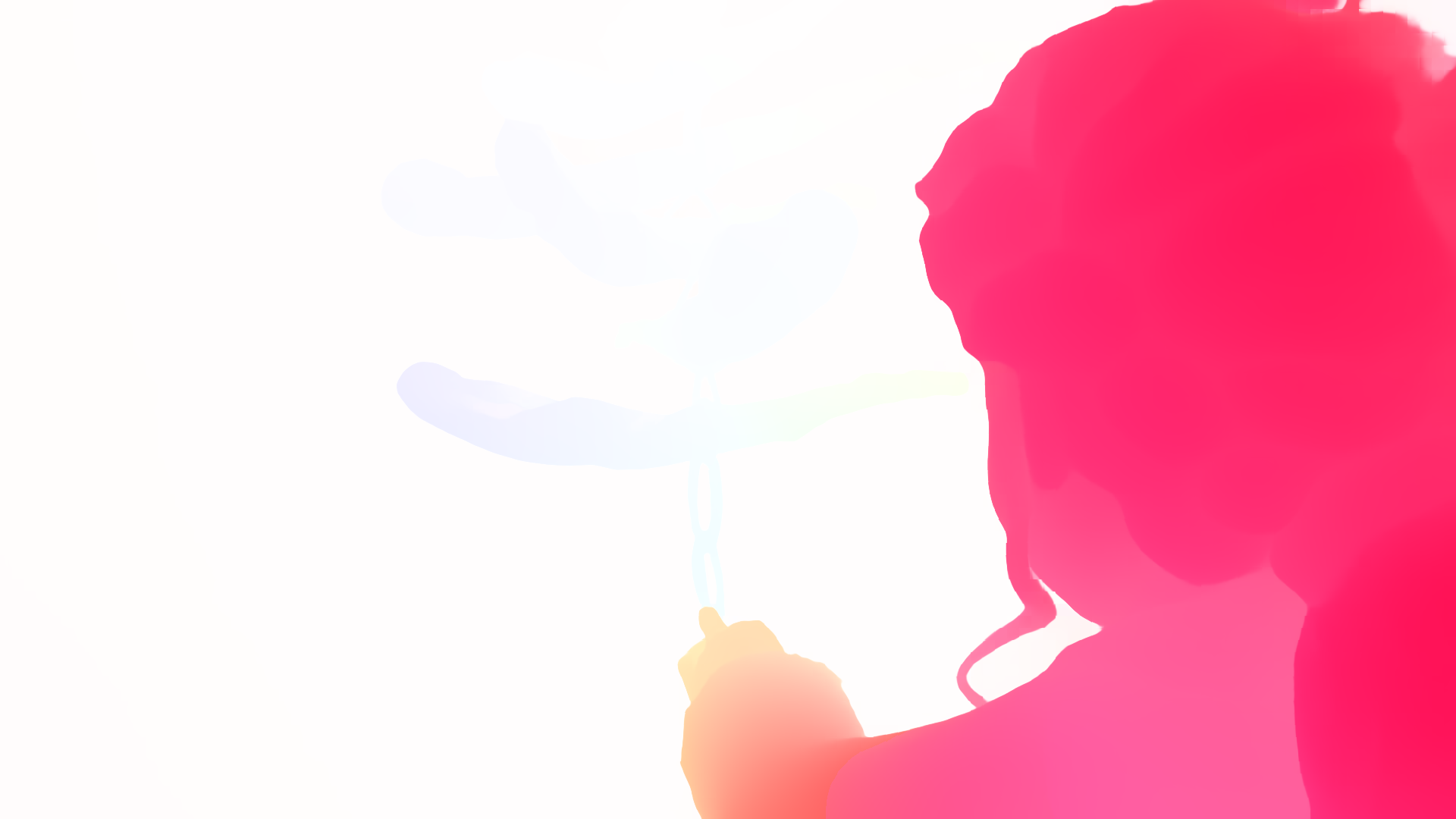 color visualization of optical flow