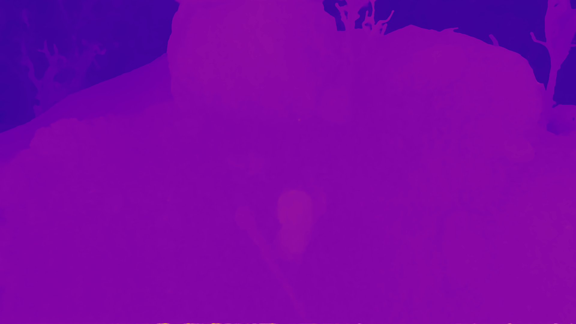 color visualization of disparity 1