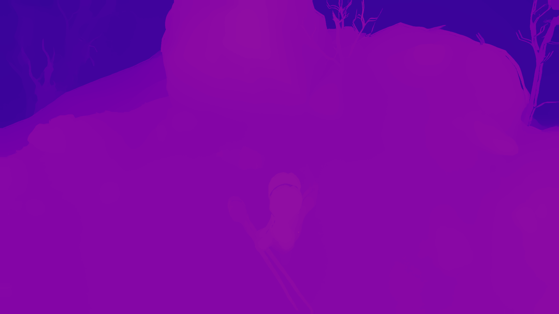 color visualization of disparity 2