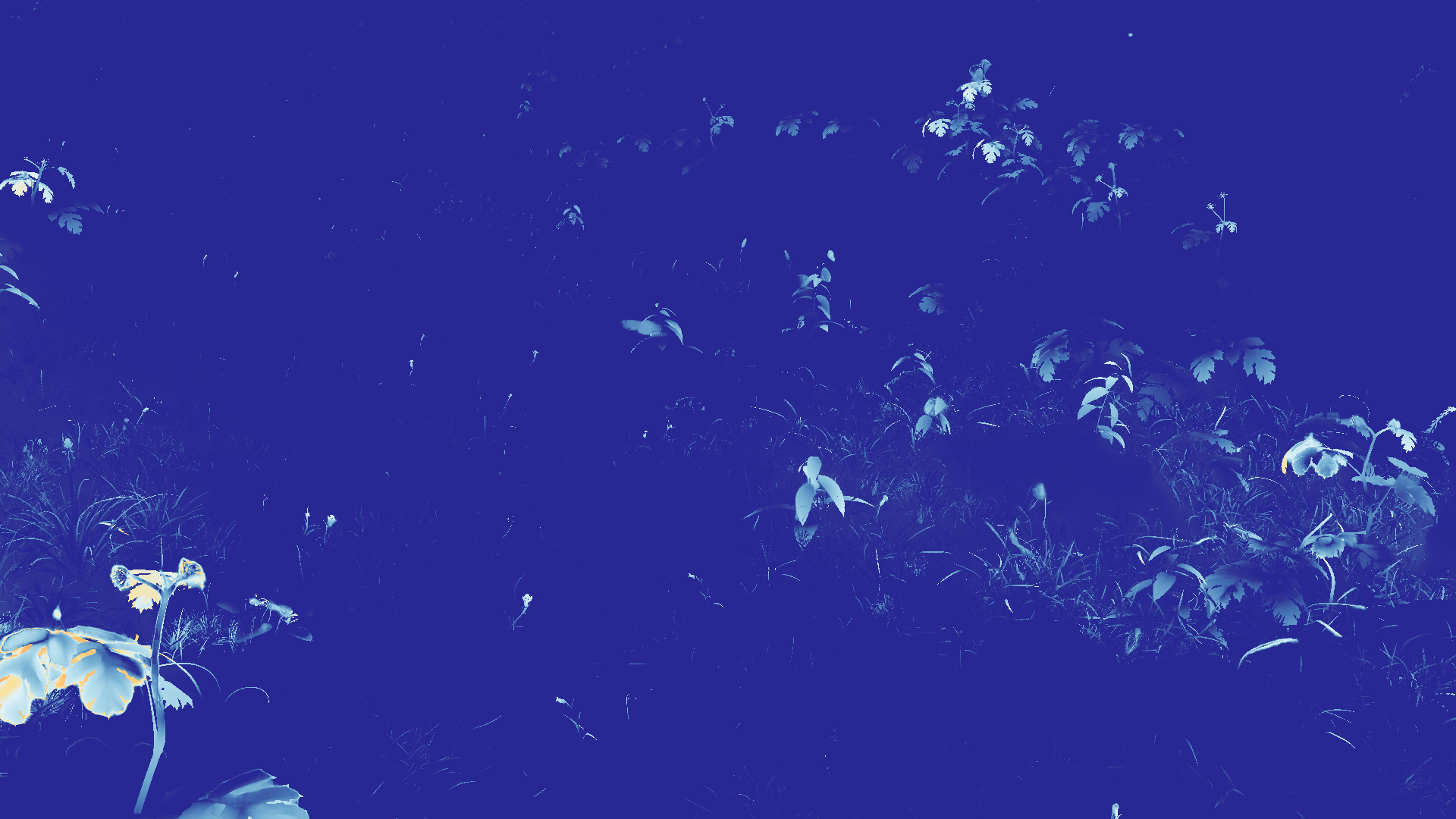 grayscale visualization of optical flow error
