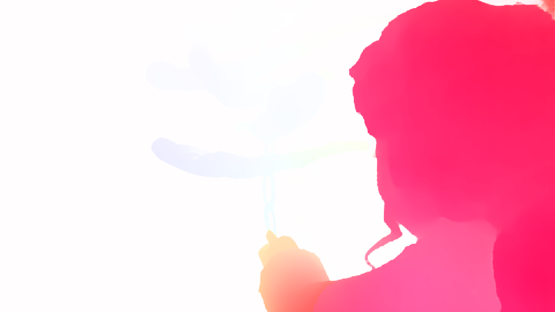 color visualization of optical flow