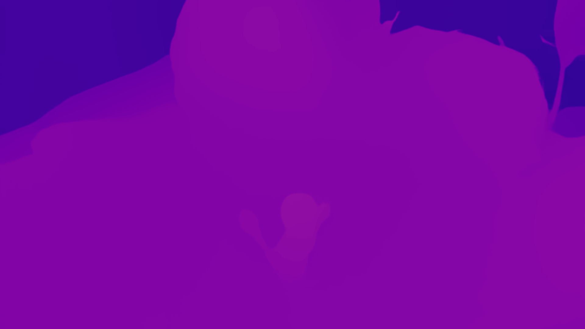 color visualization of disparity 1