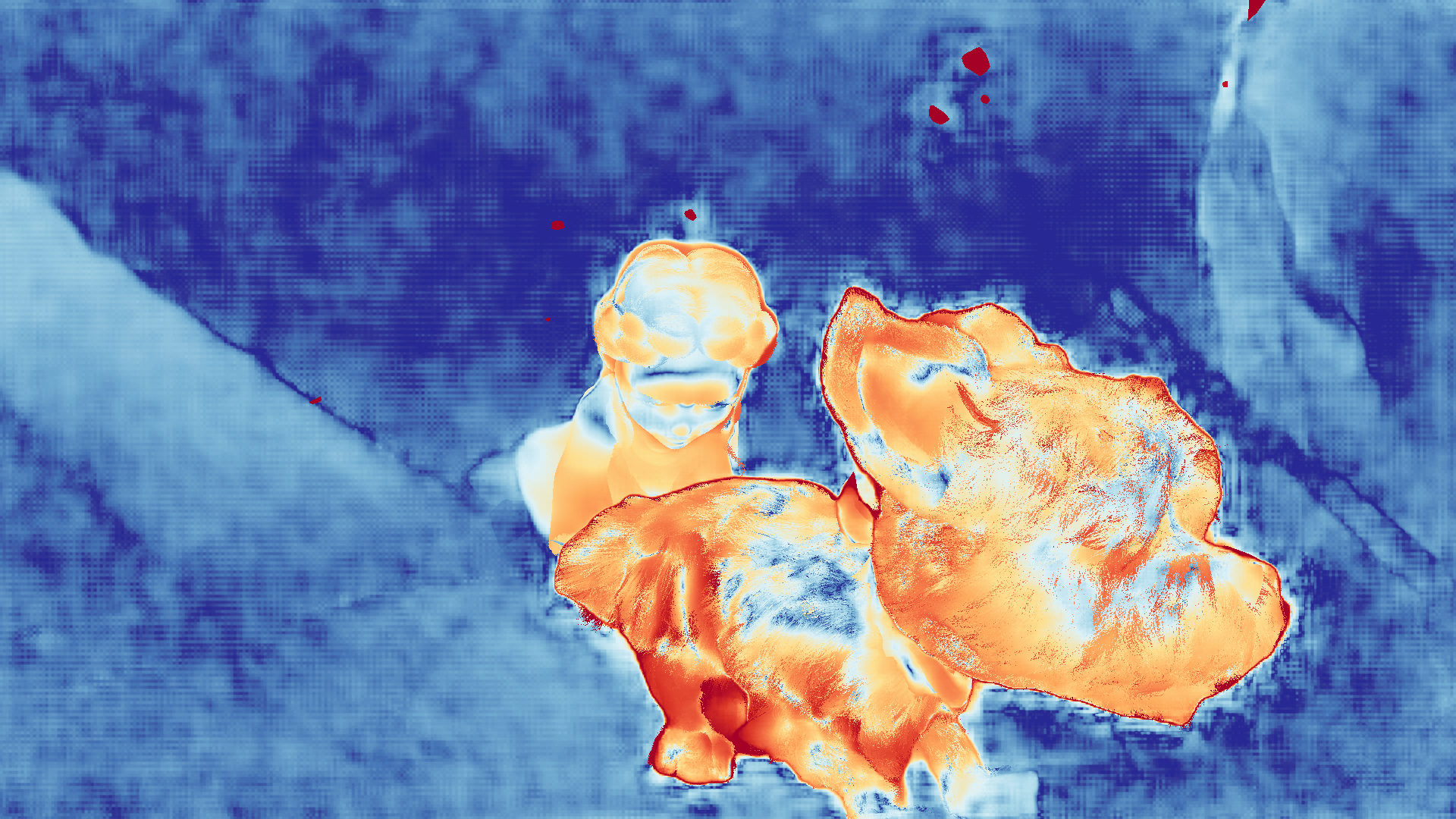 grayscale visualization of optical flow error
