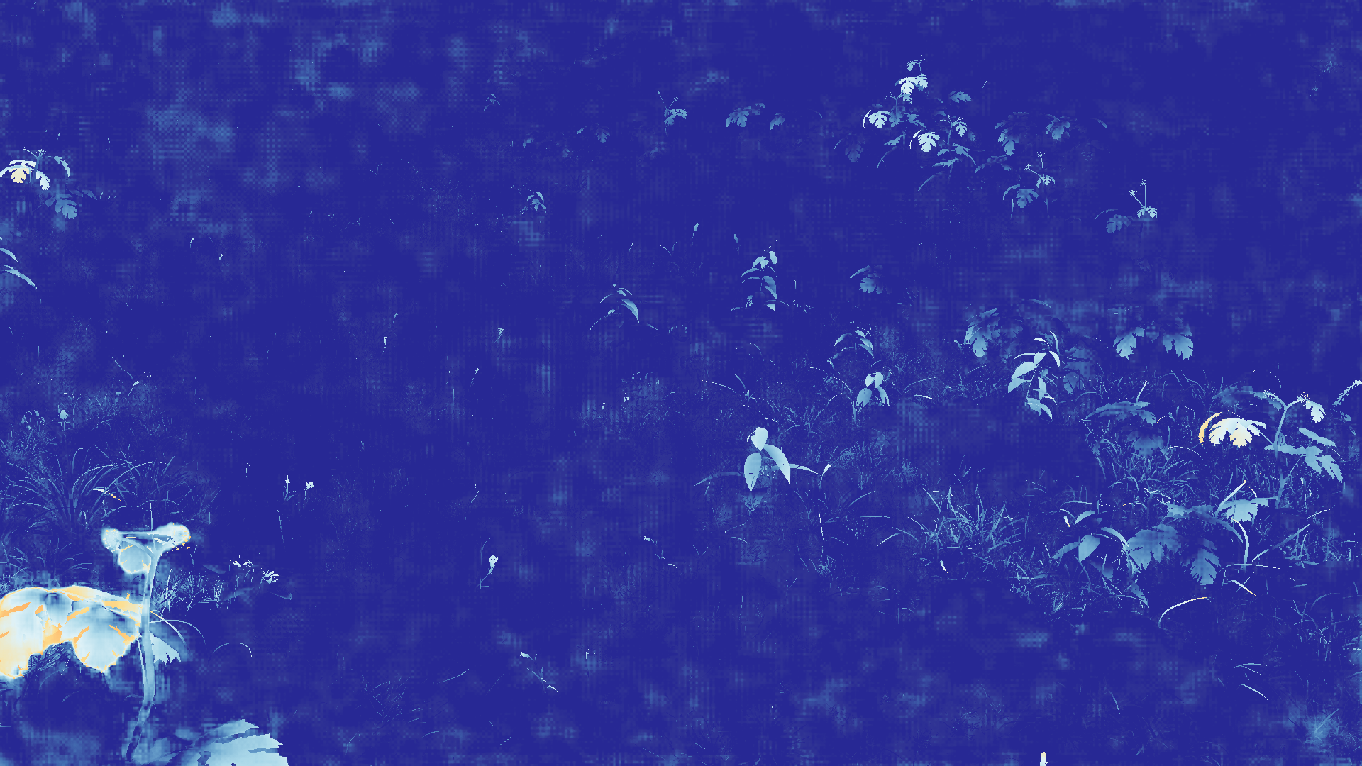 grayscale visualization of optical flow error