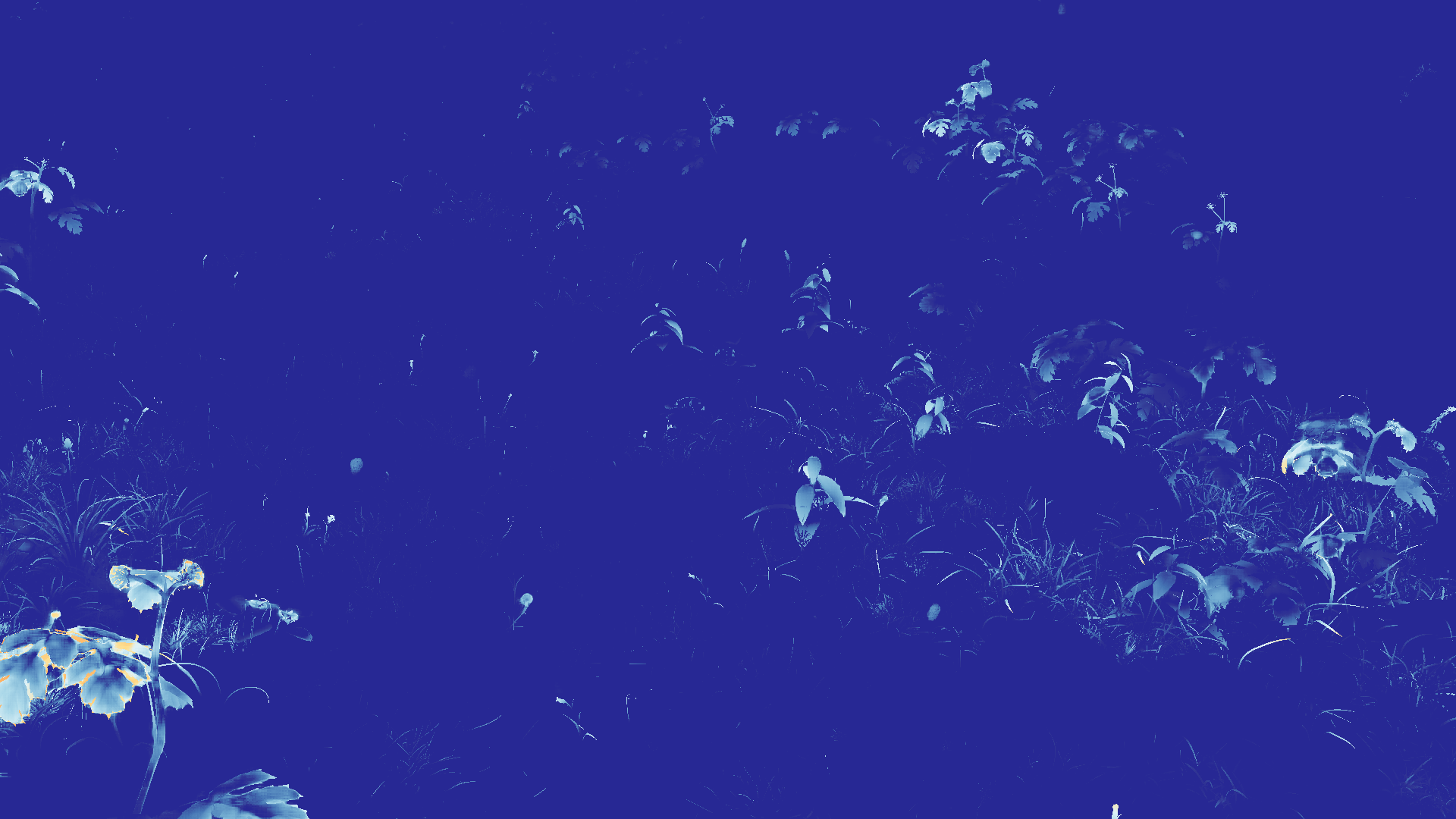 grayscale visualization of optical flow error