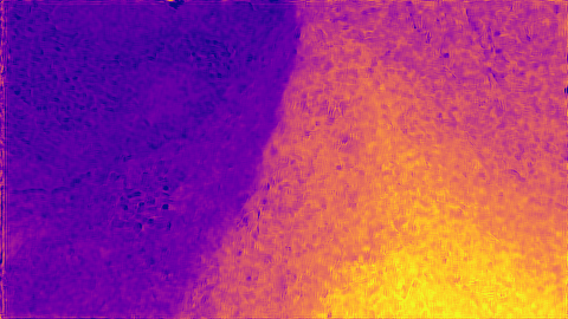 color visualization of disparity 1