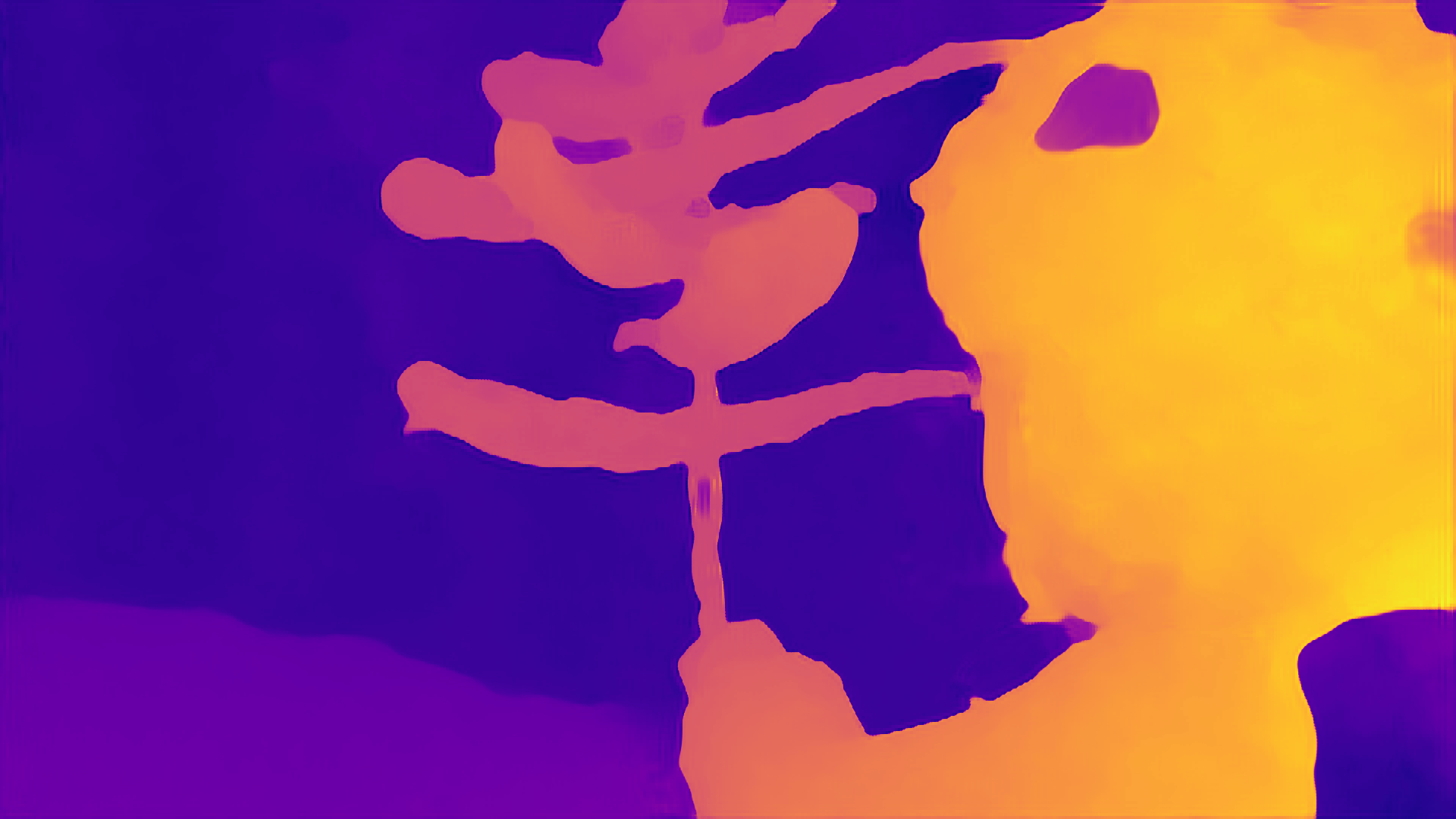color visualization of disparity 1