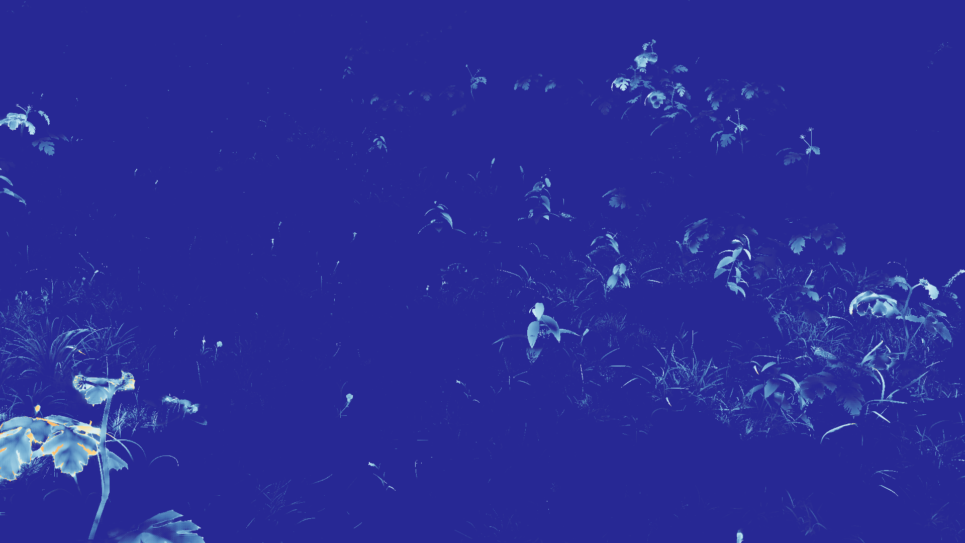 grayscale visualization of optical flow error